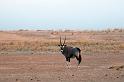 20090605_182802 D300 (1) X1